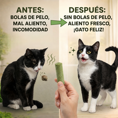 SNURA PET™ | CAT-GRASS