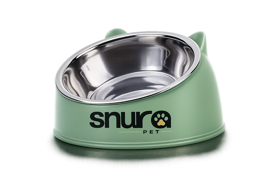 Cuenco Elevado Ergonómico de Acero Inoxidable | Mejor Postura y Digestión Saludable