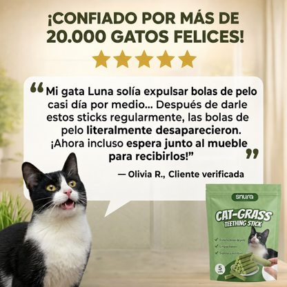 SNURA PET™ | CAT-GRASS
