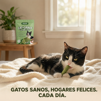SNURA PET™ | CAT-GRASS